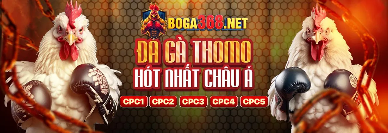 Giao diện cá cược trực tuyến au88
